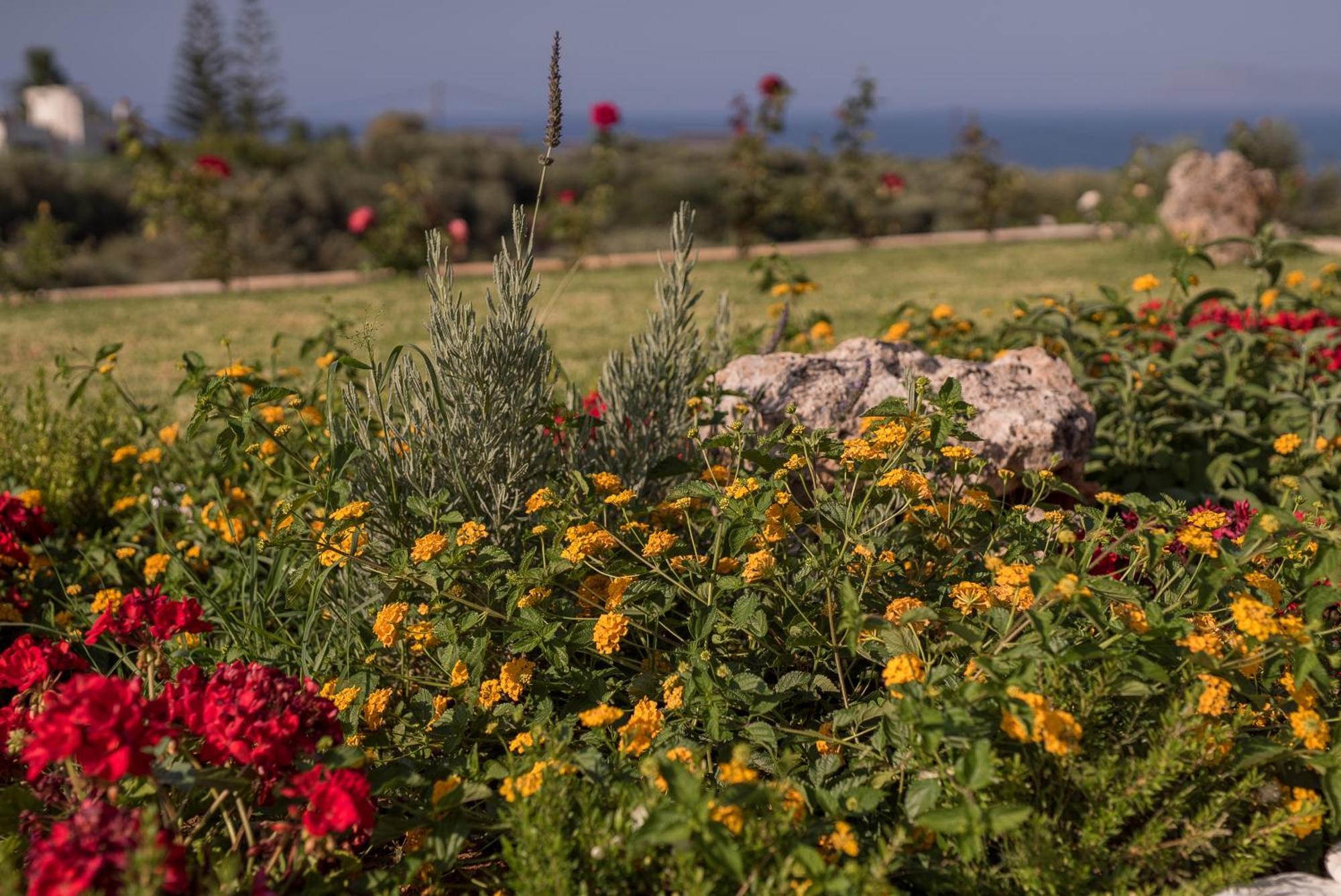 Koukos Villas Stalós Rom bilde